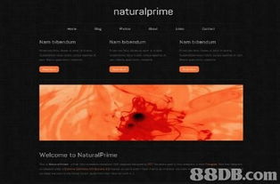 LinkDesign 專業網站設計服務，打造您的線上名片