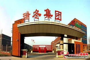 瑞冬集團業務經理交流會 網絡技術服務拳頭產品與研制能力展示